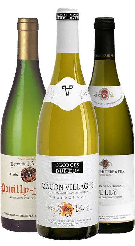 לאוהבי שאבלי בלי שאבלי